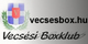 Vecsés SE Ökölvívó Szakosztály